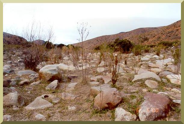 Cottonwood Creek in the vicinity of the border with Mexico