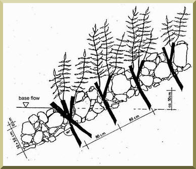 Live staking schematic