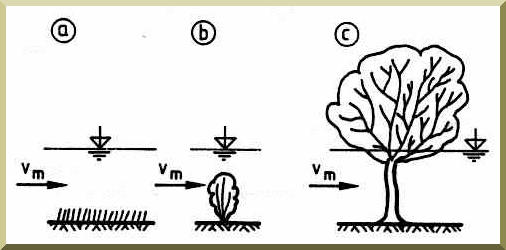 Short, average, and tall vegetation