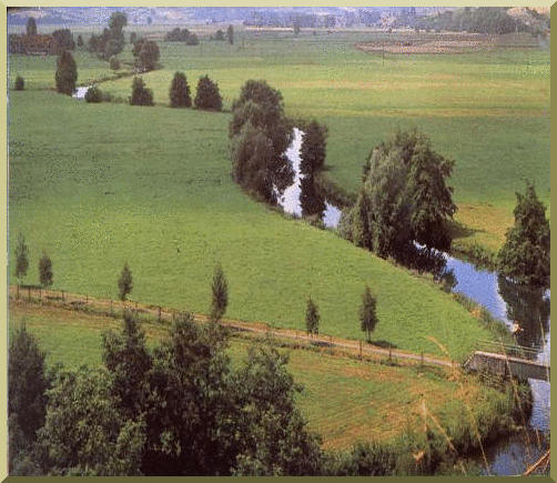 Grasslands flood plains