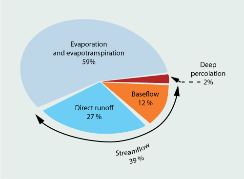 Average global components of the water balance