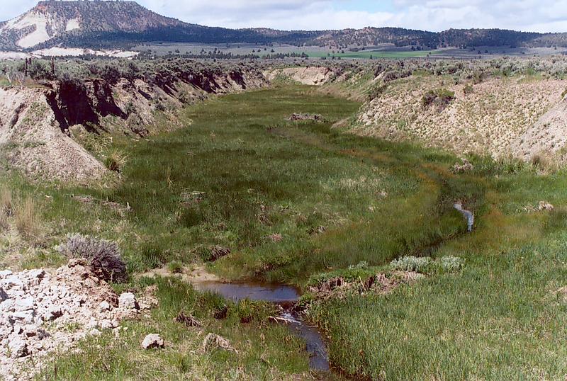 Camp Creek, near Prineville, Oregon.