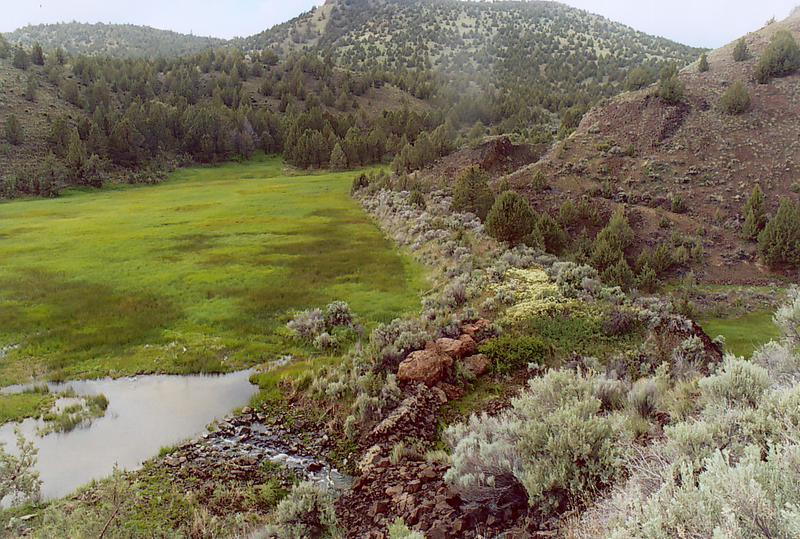 Camp Creek, near Prineville, Oregon.