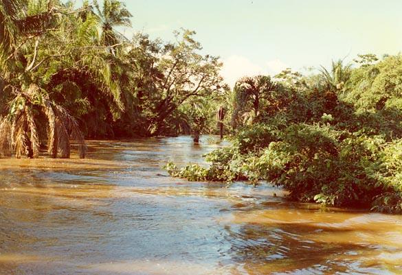 Flood stage in a tropical river