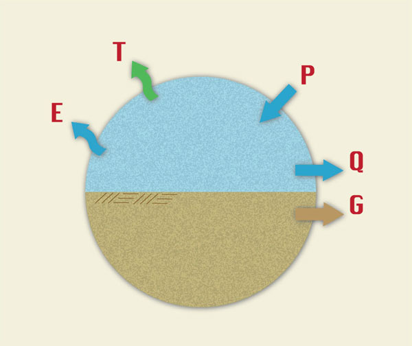 Components of precipitation for a complete catchment water balance