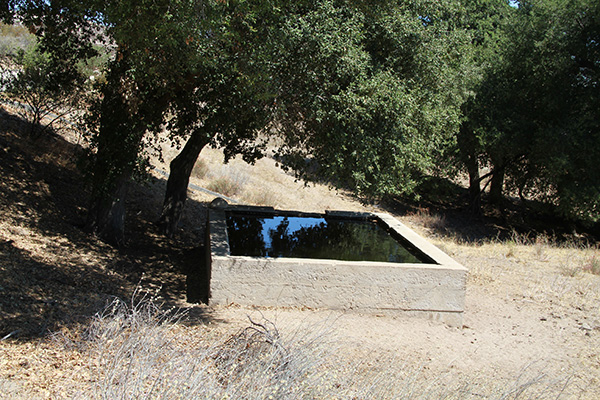 Boxed spring-McCain Valley Foothills