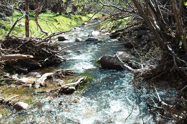 Ash Creek on May 2, 2008, showing baseflow recovery