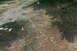 The widest tree in the world is at Santa Maria del Tule, Oaxaca, Mexico