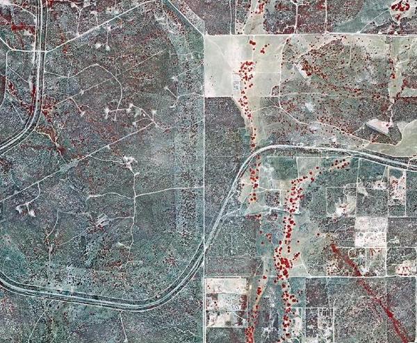 Upland vs riparian interaction between groundwater and vegetation