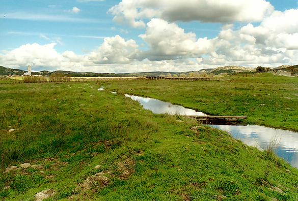 Campo Creek, California