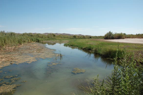 Gila river