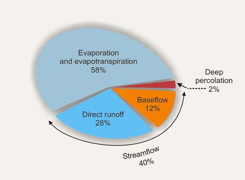 Average global components of precipitation.