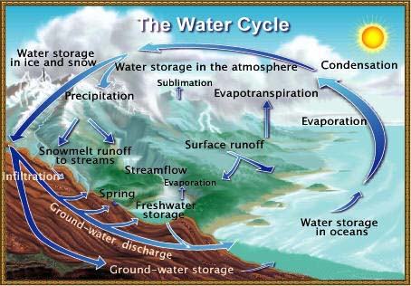 The water cycle