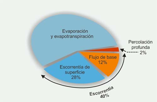 Componentes globales de la precipitacin.