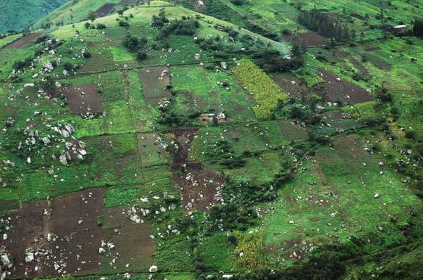 Rock outcrops and agriculture on steep slopes of La Leche basin