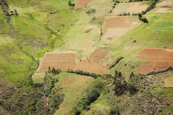 Mixed land use in the Moyán basin.