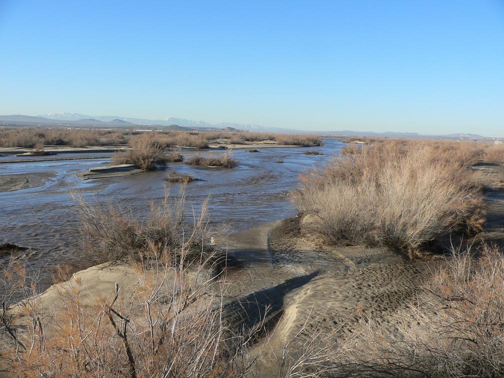 The Mohave river at Indian Trail, near Helendale, California