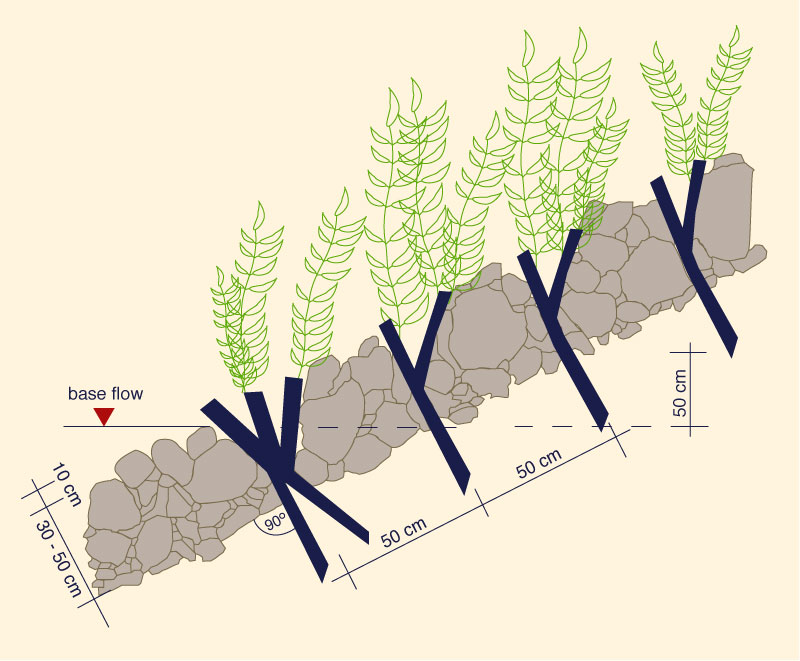 Live staking:  Schematic 