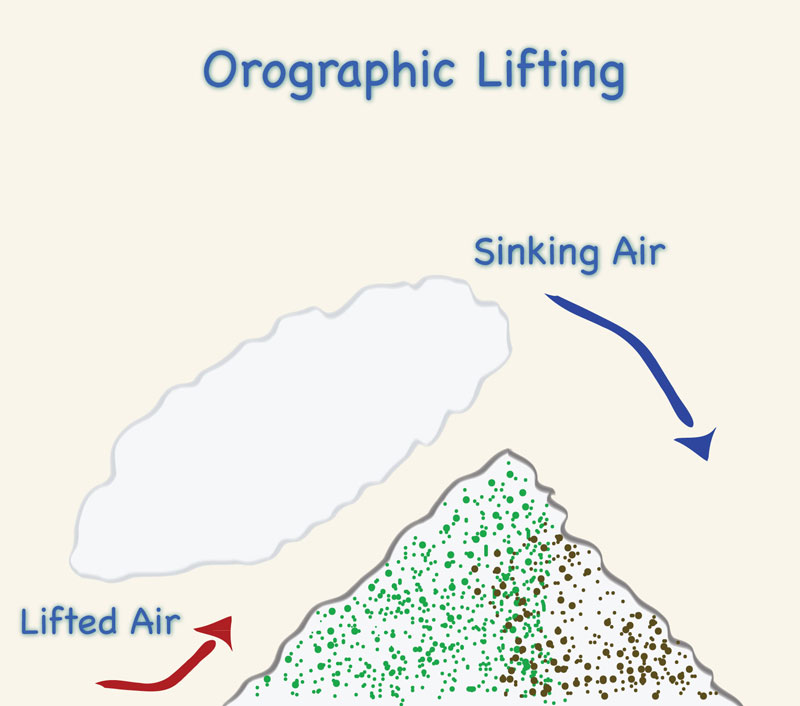 (c) orographic