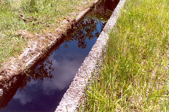 Detail  of 8,000-ft spillway, Boeraserie Conservancy, Guyana