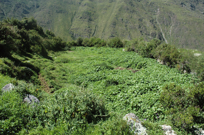 Irrigation reservoir in Japani