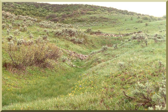 Dos de ms de cien pequeas represas de control construdas por el Servicio Forestal de los Estados Unidos para revegetar