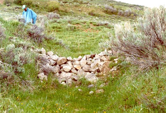 One of more than 130 check dams built by the U.S. Forest Service in Alkali Creek, Colorado, in the 1960's. 