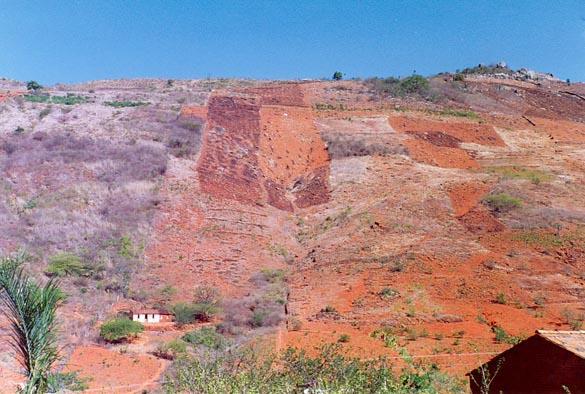 Forest clearcutting in Pernambuco, northeastern Brazil.