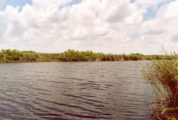 Loxahatchee Wildlife Refuge, South Florida.