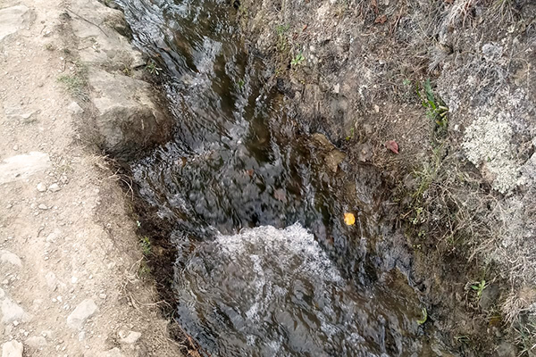 Antijirca channel, Churubamba, Huanuco, Peru (P. Estela) (2020).