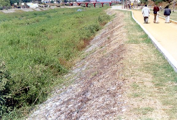 View of the left bank looking upstream, showing the gabion-protected side slope