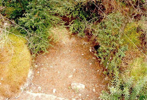 ista del Ro Tlaxiaco desde el Puente San Diego (No. 5), hacia aguas arriba, mostrando el lecho casi seco. 