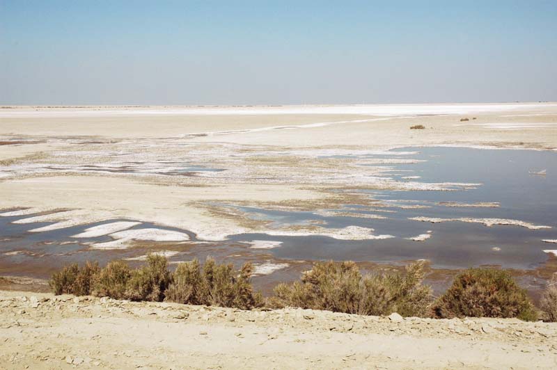 Evaporation pond, Tulare Lake Basin, California