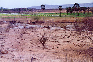 backlands of rio grande do norte