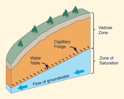 vadose zone