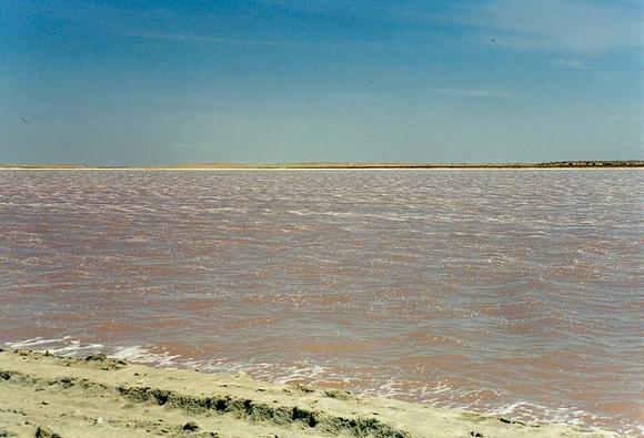 Evaporation of coastal waters