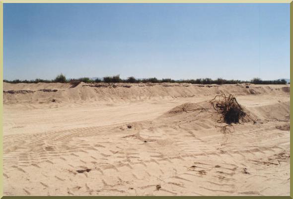 Sand Mining in El Barbon Wash near Real del Castillo