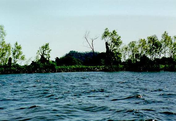 Along the eastern margin of the Paraguay river south of Porto Murtinho, Mato Grosso do Sul, Brazil.