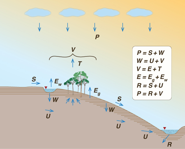 L'vovich's water balance