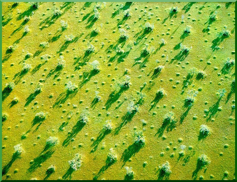 flood