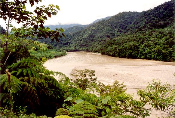 Rio Mara&ntilde;on at Pongo de Rentema, near Bagua, Peru (2003)