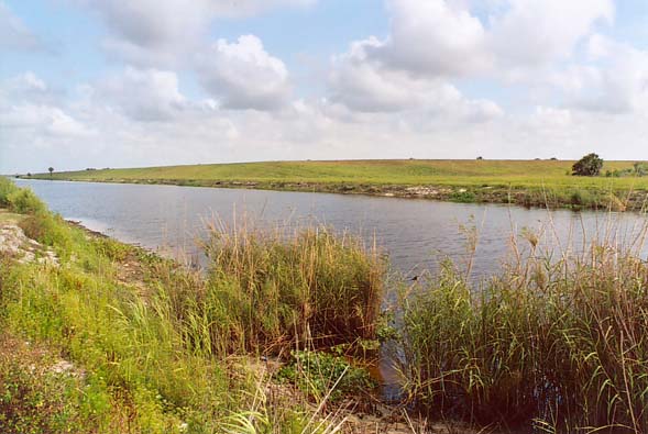 Indian Prairie Canal, South Florida (2005)