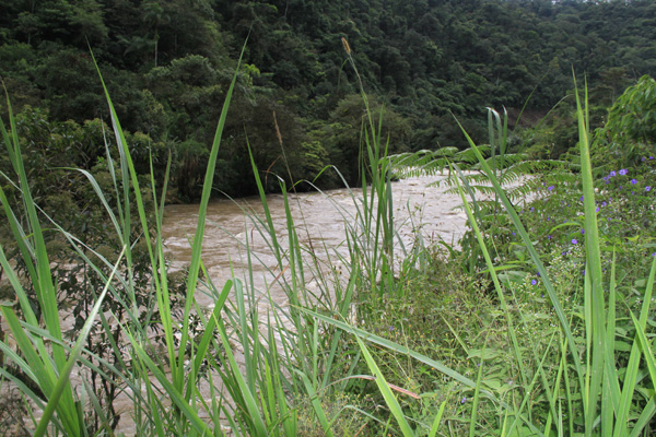 Rio Bombuscaro, Zamora-Cbinchipe, Ecuador (2014)